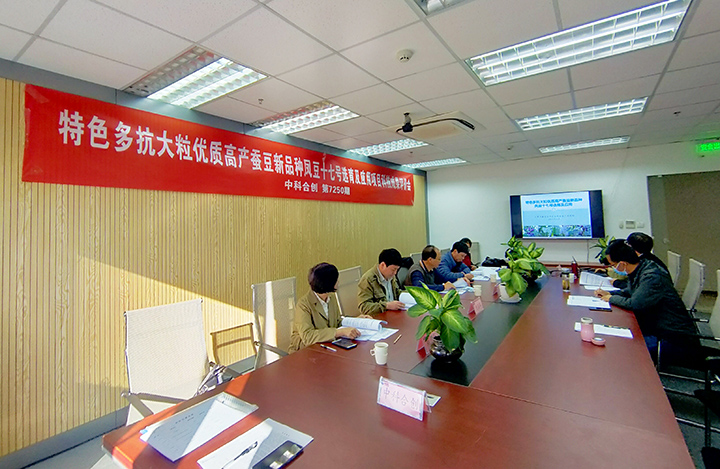 优质多抗大粒蚕豆新品种凤豆十七号选育及应用 anli.jpg